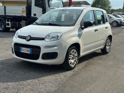 Fiat Panda 1.2 GPL Pop Van 2 posti del 2019 usata a Massarosa