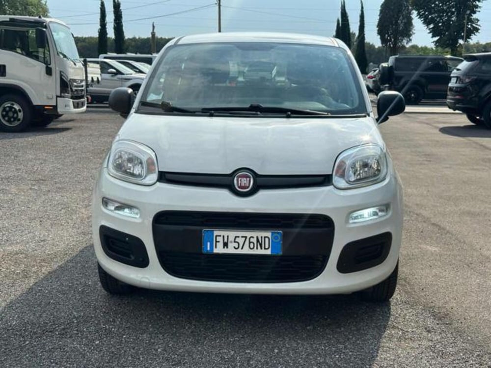Fiat Panda usata a Lucca (2)