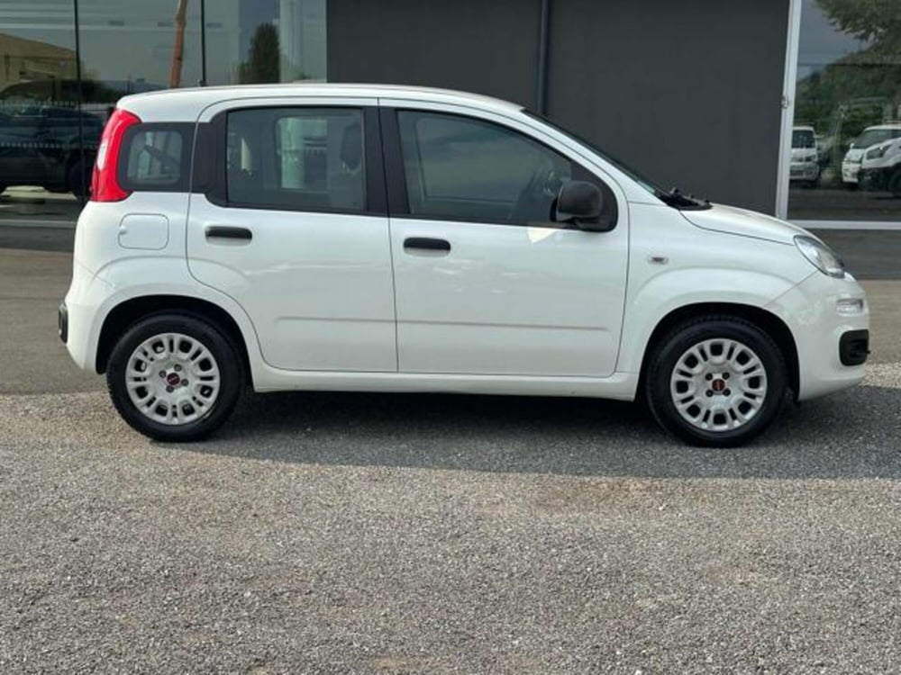 Fiat Panda usata a Lucca (5)