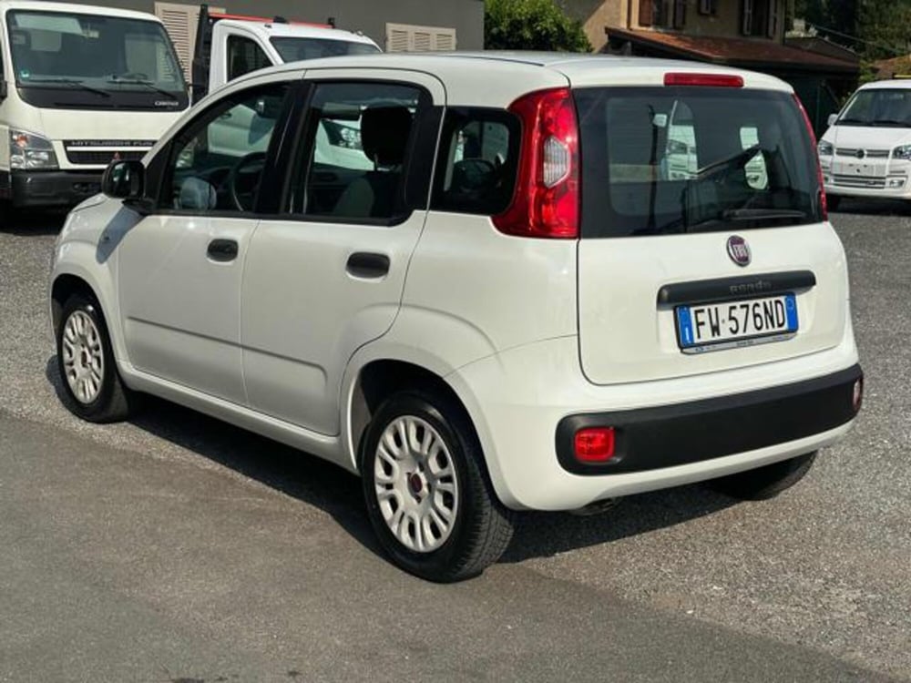 Fiat Panda usata a Lucca (8)