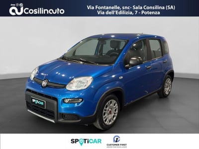 Fiat Panda 1.0 firefly hybrid s&amp;s 70cv 5p.ti del 2024 usata a Sala Consilina
