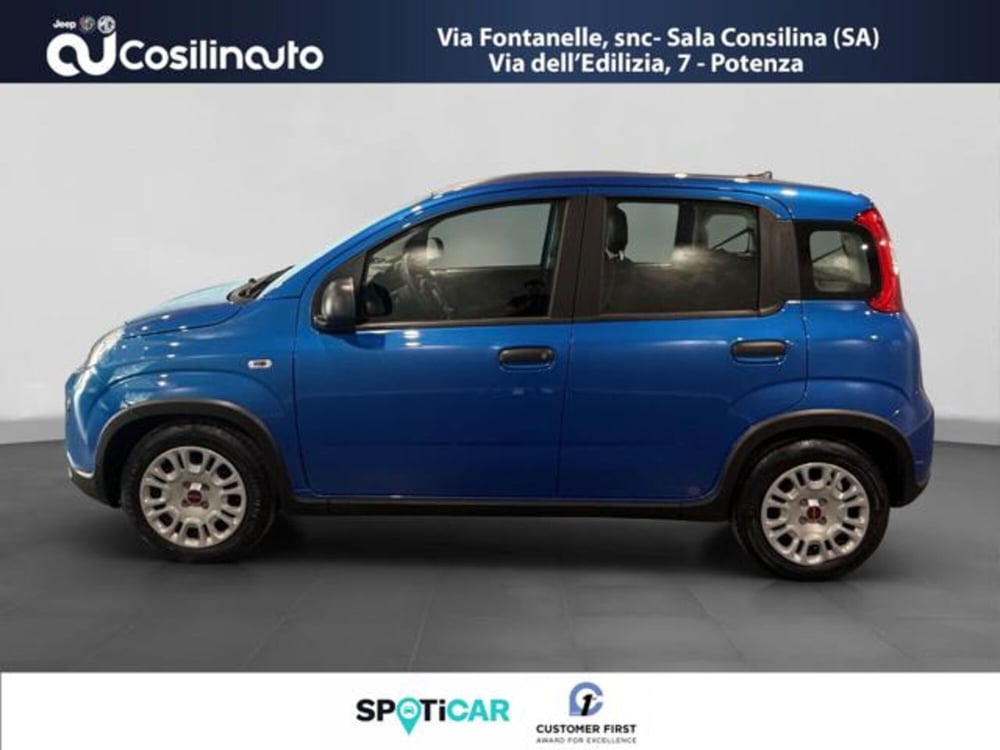 Fiat Panda usata a Salerno (2)