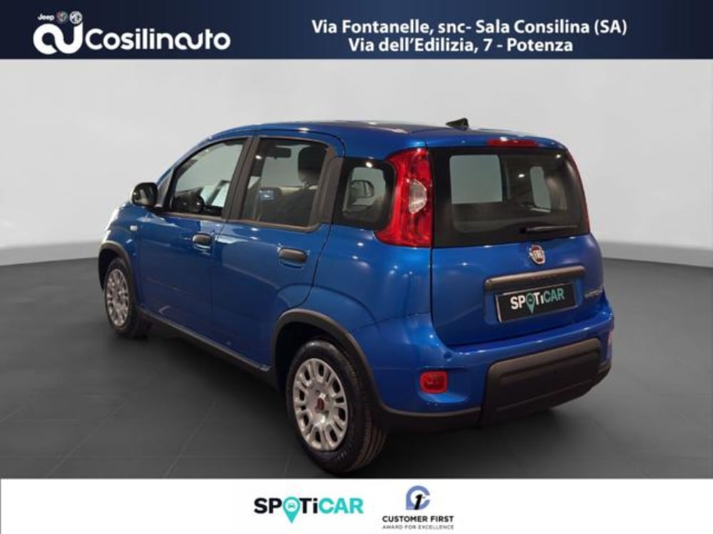Fiat Panda usata a Salerno (3)