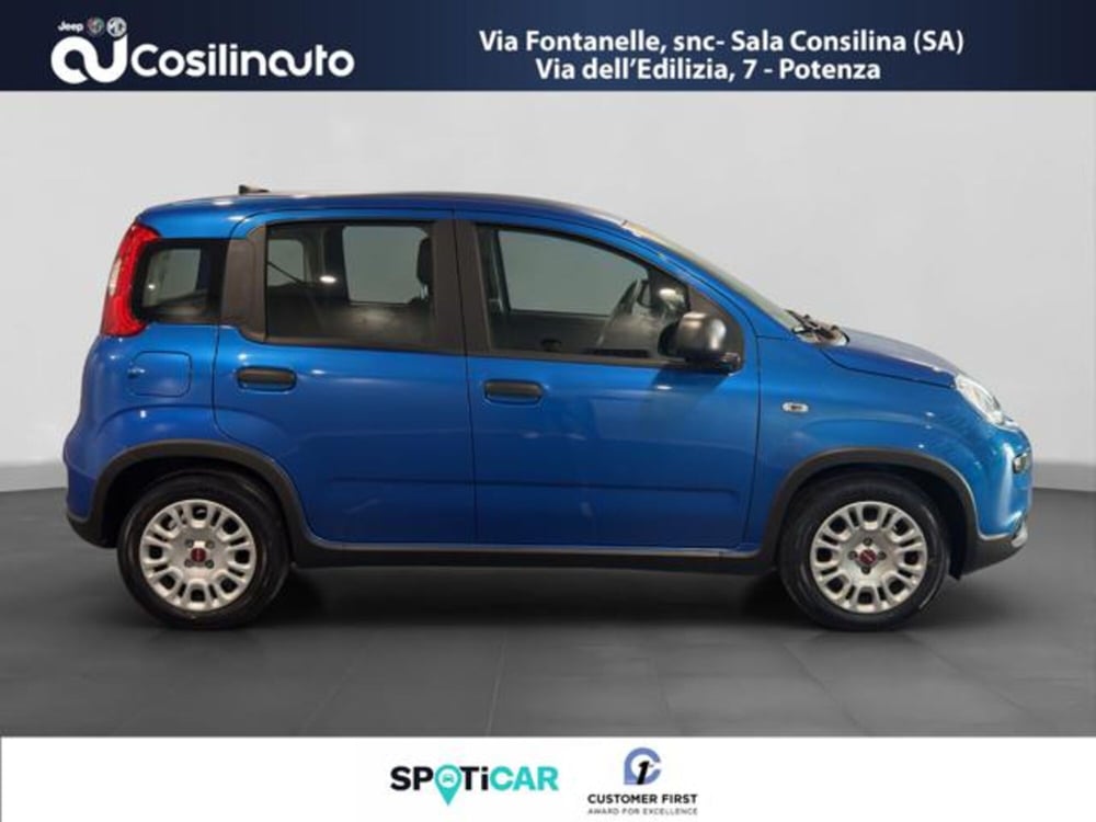 Fiat Panda usata a Salerno (6)