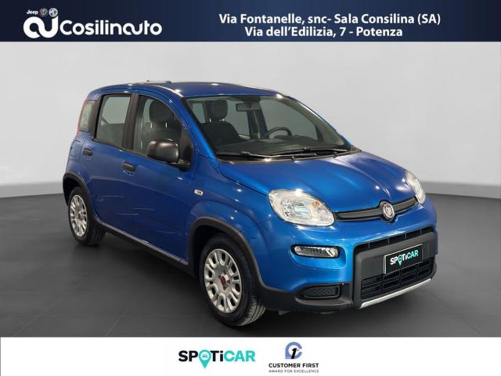 Fiat Panda usata a Salerno (7)