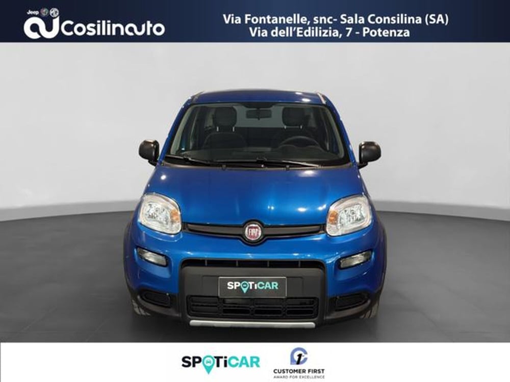 Fiat Panda usata a Salerno (8)