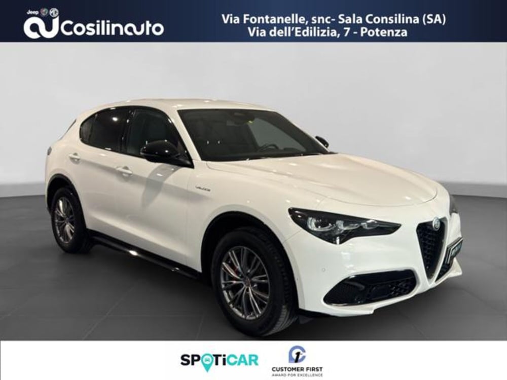 Alfa Romeo Stelvio usata a Salerno (7)