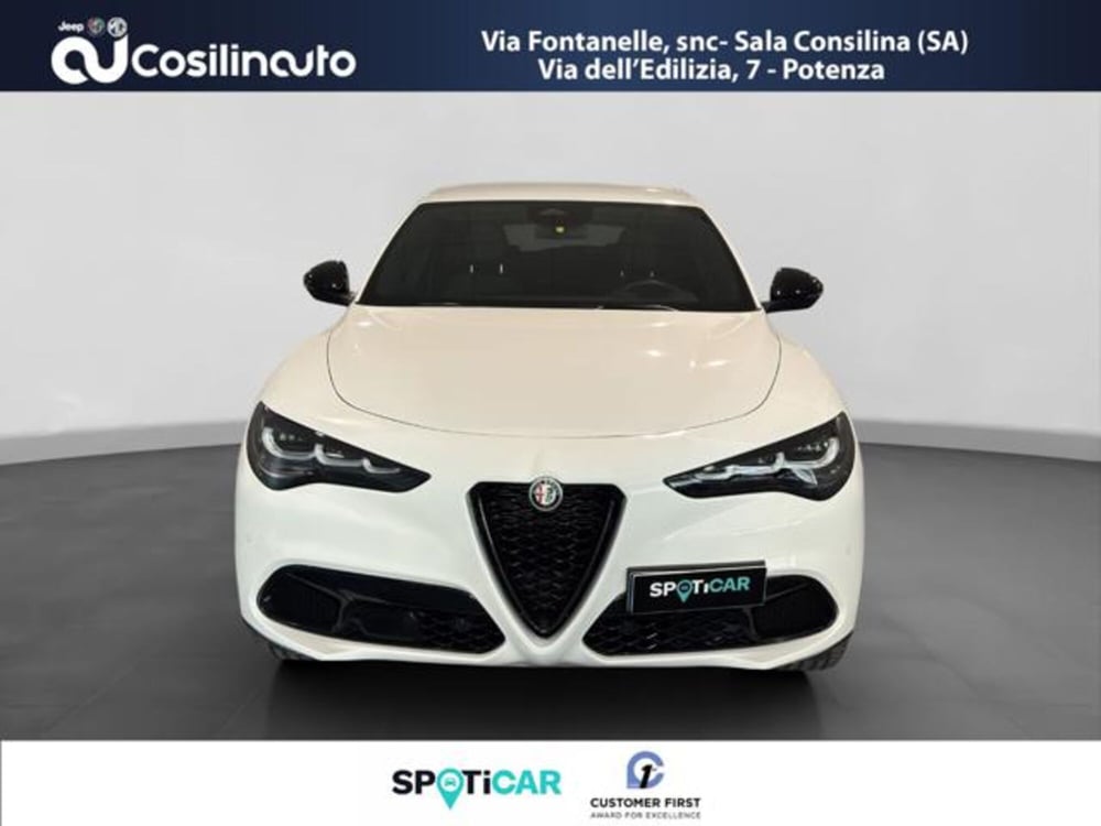 Alfa Romeo Stelvio usata a Salerno (8)