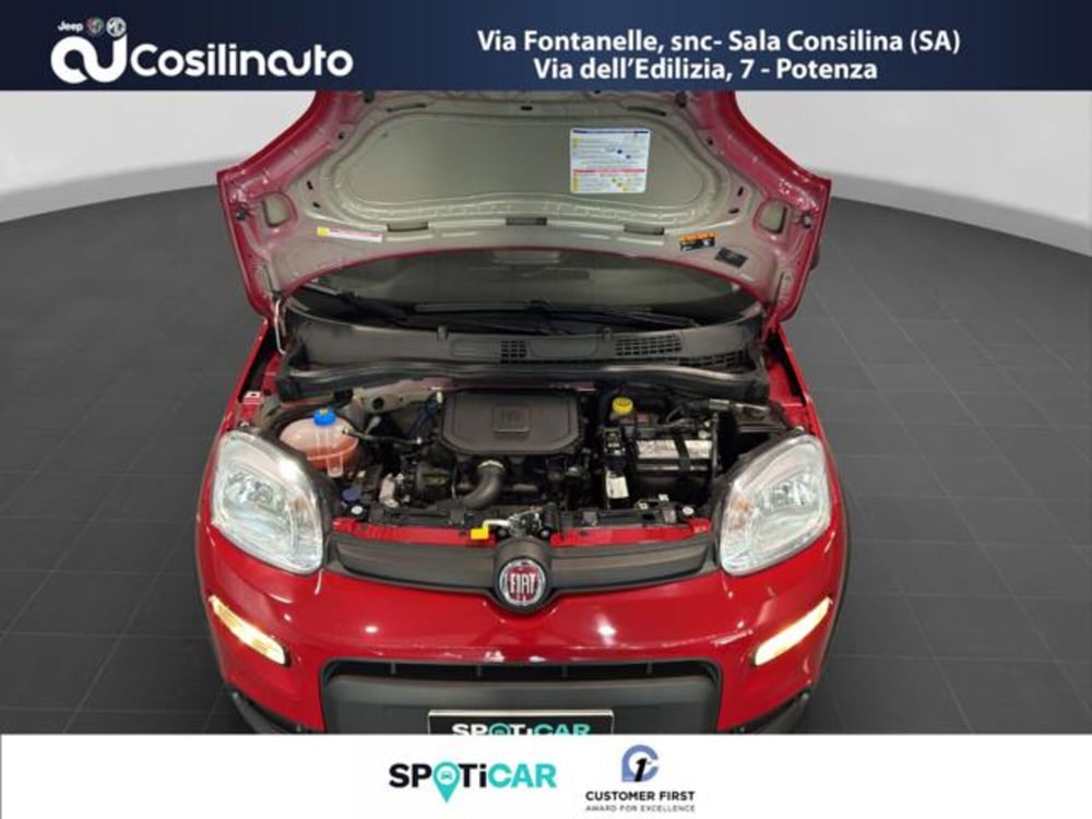 Fiat Panda usata a Salerno (18)