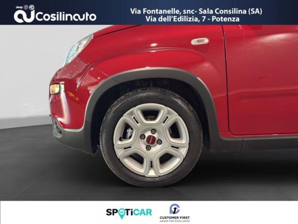 Fiat Panda usata a Salerno (19)