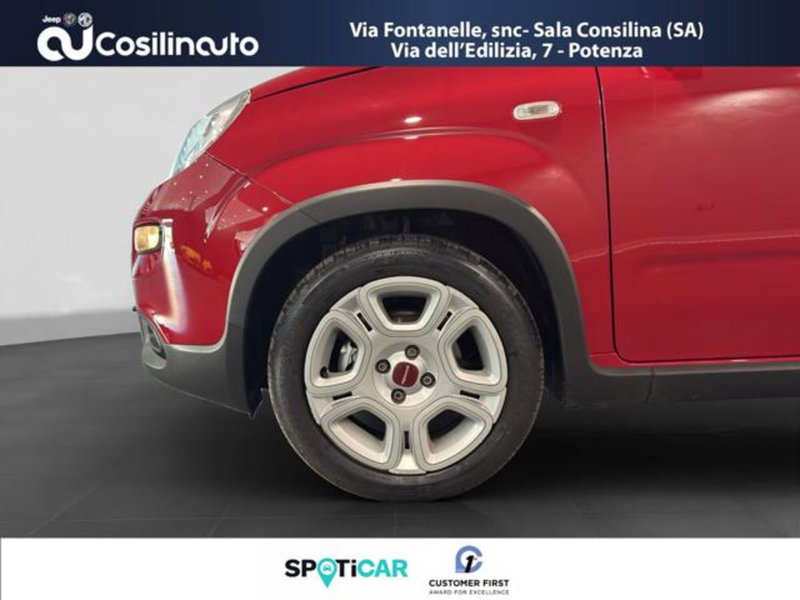 Fiat Panda usata a Salerno (19)