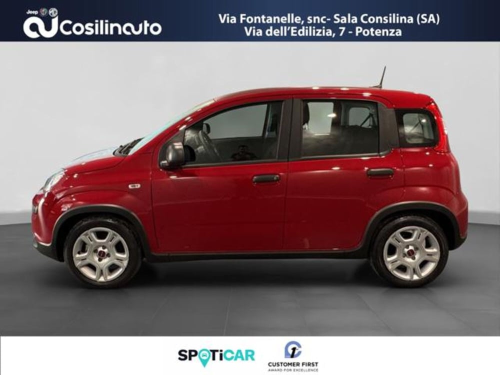 Fiat Panda usata a Salerno (2)