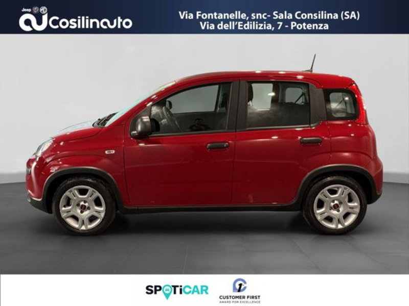 Fiat Panda usata a Salerno (2)