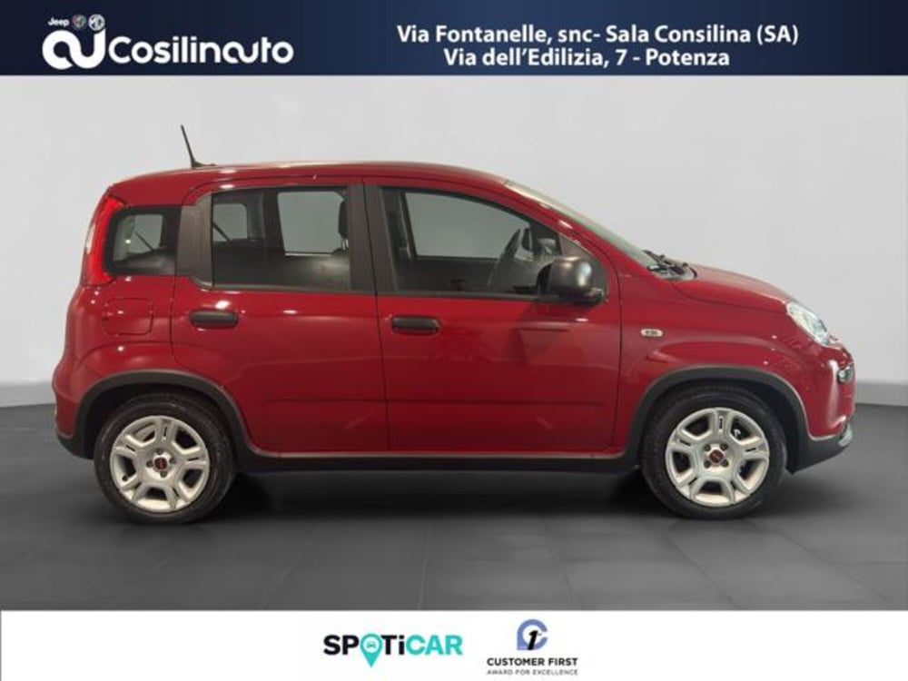 Fiat Panda usata a Salerno (6)