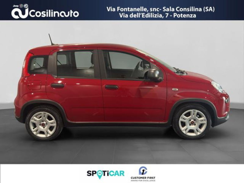Fiat Panda usata a Salerno (6)