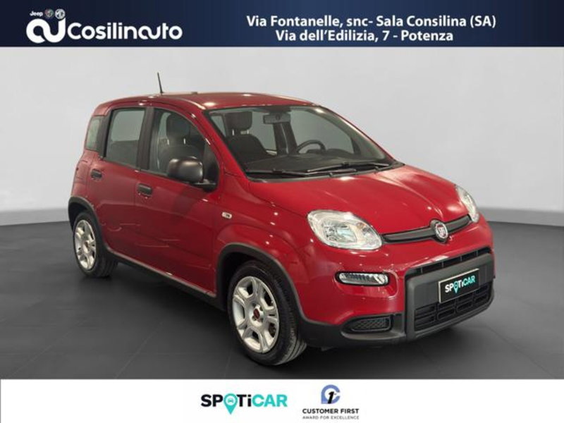 Fiat Panda usata a Salerno (7)