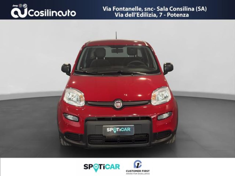 Fiat Panda usata a Salerno (8)