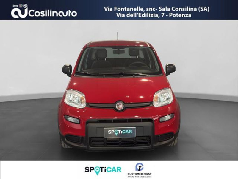 Fiat Panda usata a Salerno (8)