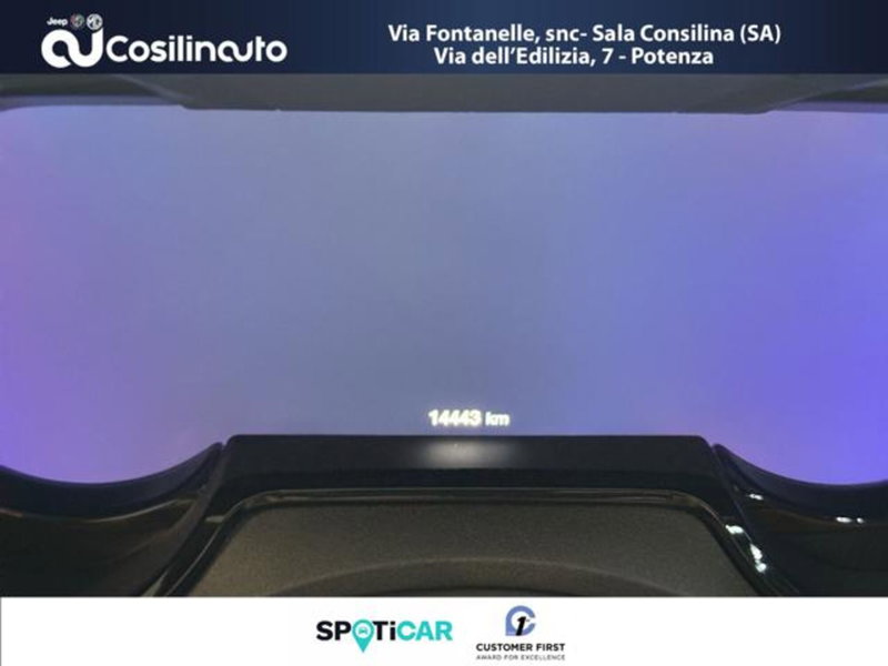 Alfa Romeo Tonale usata a Salerno (20)