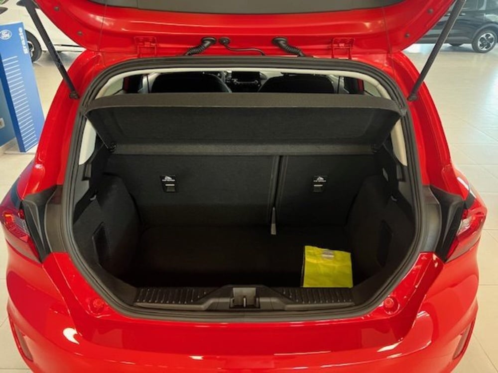 Ford Fiesta usata a Cuneo (17)
