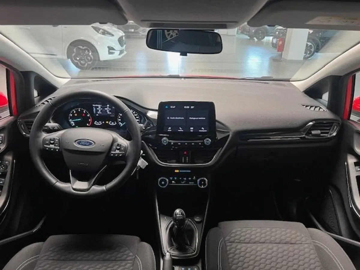 Ford Fiesta usata a Cuneo (8)
