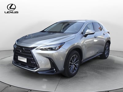 Lexus NX Hybrid 4WD Premium del 2022 usata a Montebelluna