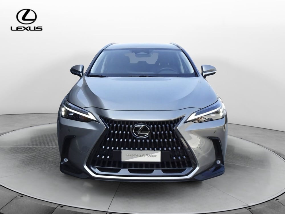 Lexus NX usata a Treviso (2)