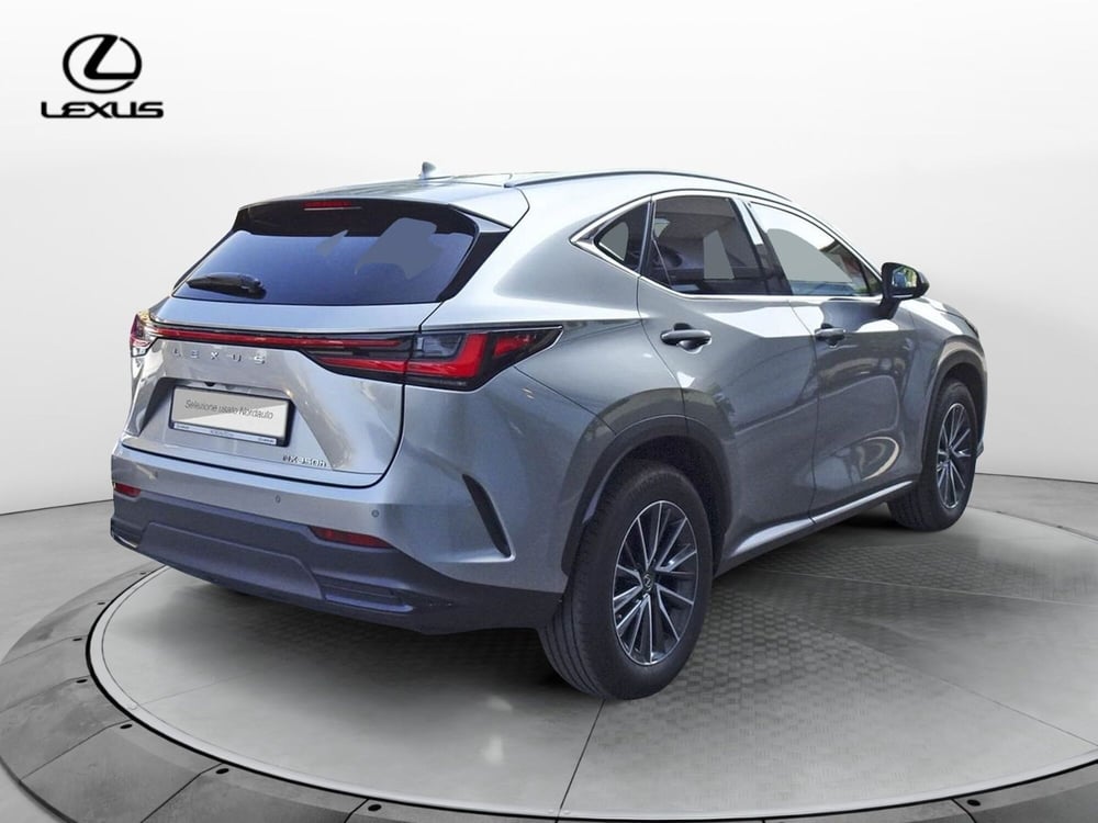 Lexus NX usata a Treviso (5)