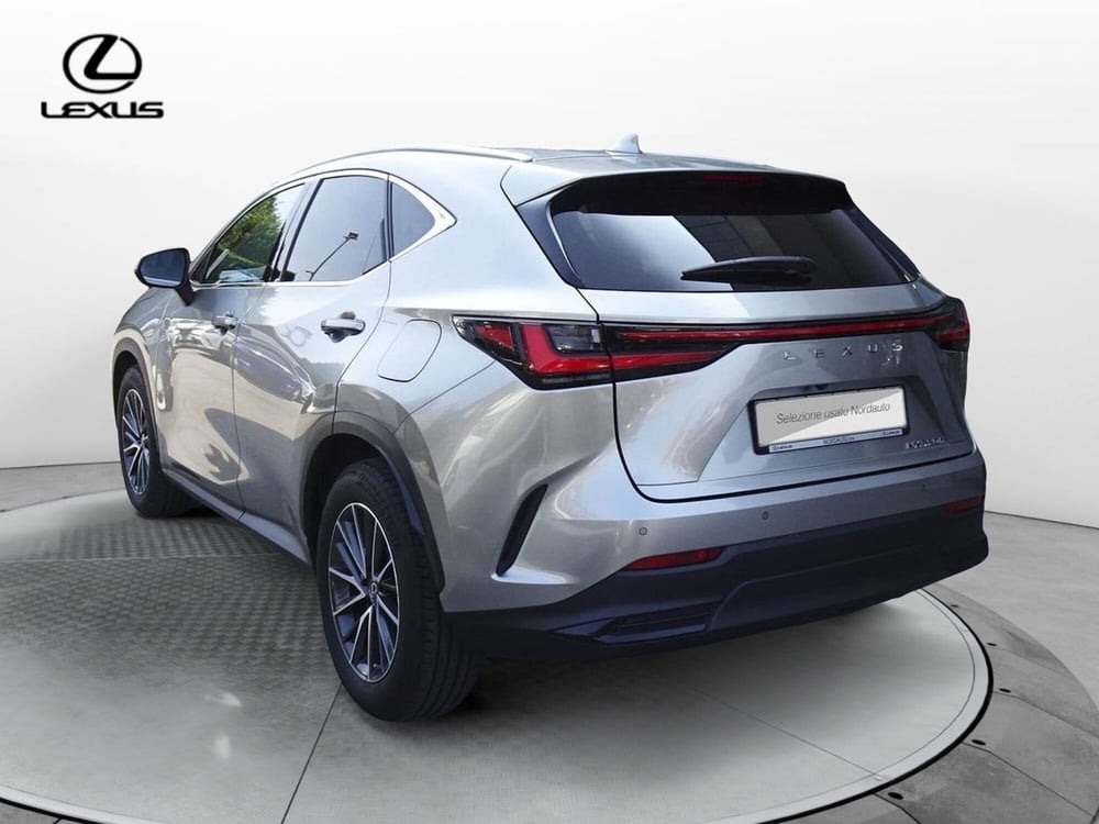 Lexus NX usata a Treviso (7)