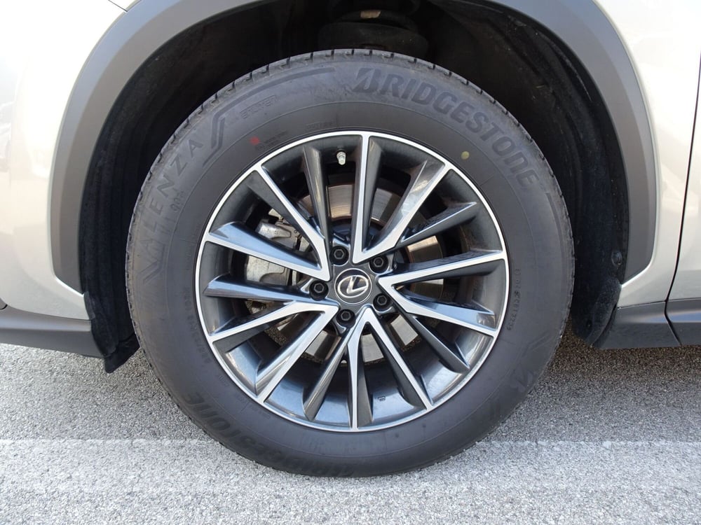Lexus NX usata a Treviso (8)