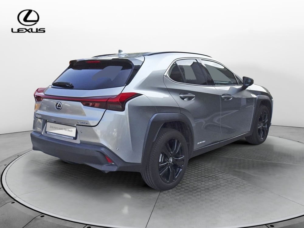 Lexus UX usata a Treviso (5)