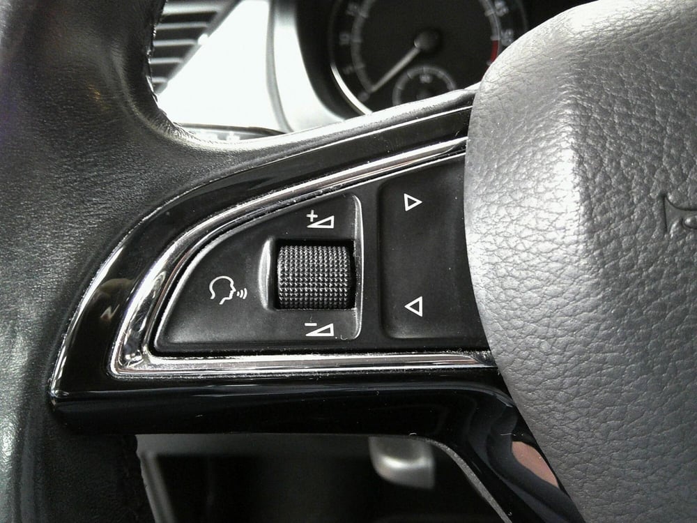 Skoda Rapid Spaceback usata a Treviso (18)