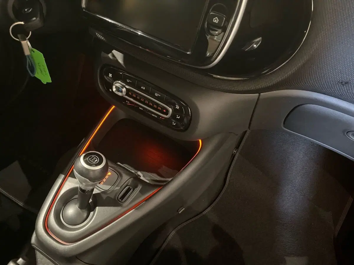 smart Fortwo usata a Bergamo (14)
