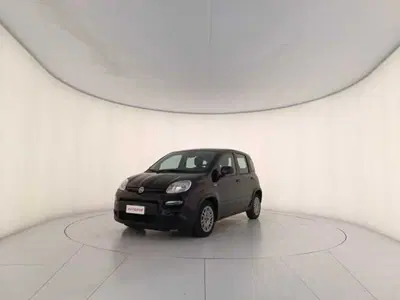 Fiat Panda 1.0 firefly hybrid s&amp;s 70cv 5p.ti del 2023 usata a Montebelluna