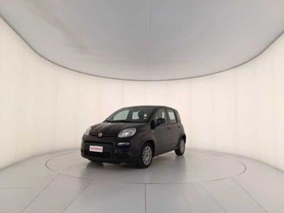 Fiat Panda 1.0 firefly hybrid s&amp;s 70cv 5p.ti del 2023 usata a Montebelluna