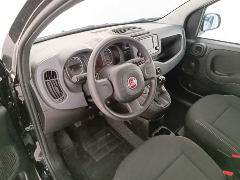 Fiat Panda usata a Treviso (10)