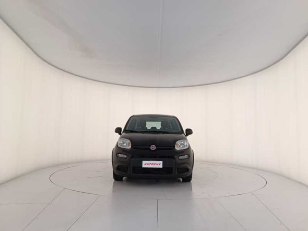 Fiat Panda usata a Treviso (2)