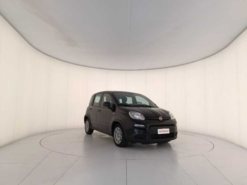 Fiat Panda usata a Treviso (3)