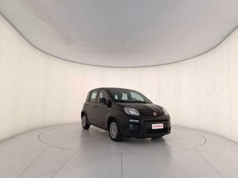 Fiat Panda usata a Treviso (3)