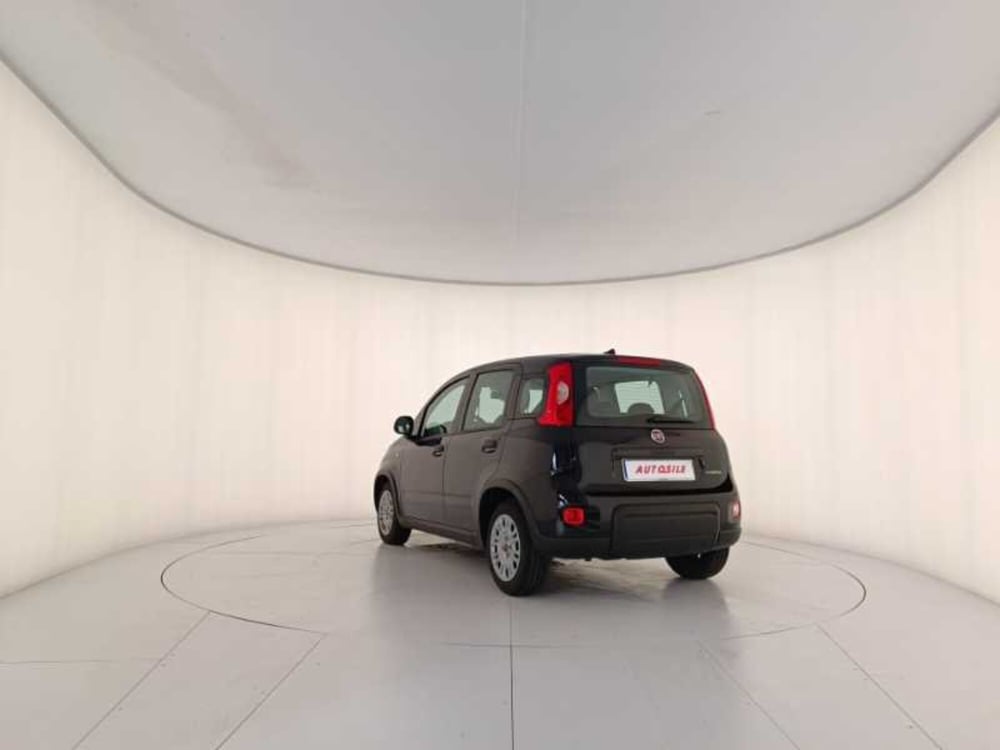 Fiat Panda usata a Treviso (4)