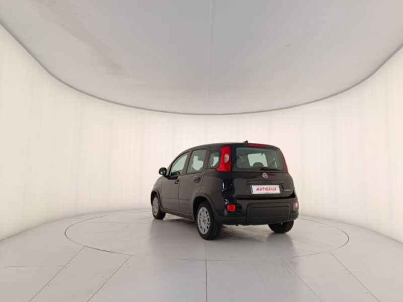Fiat Panda usata a Treviso (4)