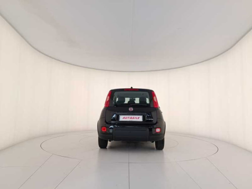 Fiat Panda usata a Treviso (5)