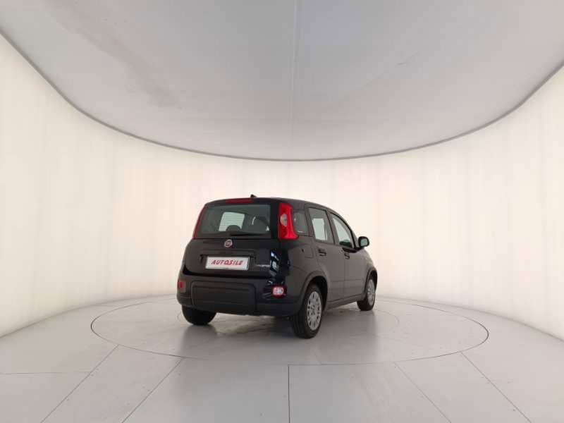 Fiat Panda usata a Treviso (6)