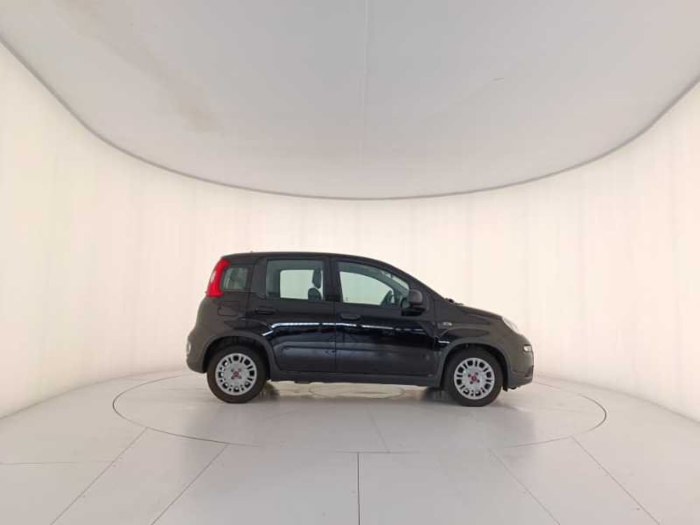 Fiat Panda usata a Treviso (7)