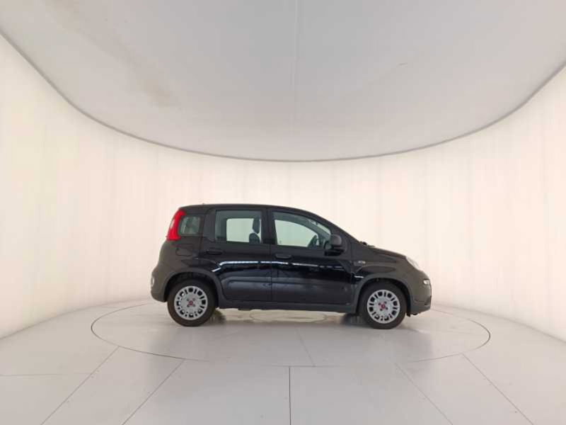 Fiat Panda usata a Treviso (7)