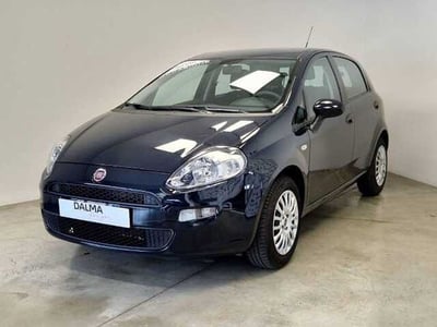Fiat Punto 1.2 8V 5 porte Street del 2016 usata a Solaro