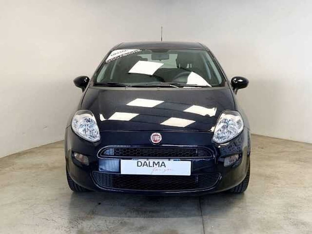 Fiat Punto usata a Milano (2)