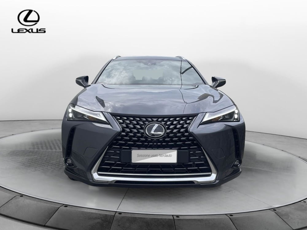 Lexus UX usata a Treviso (2)