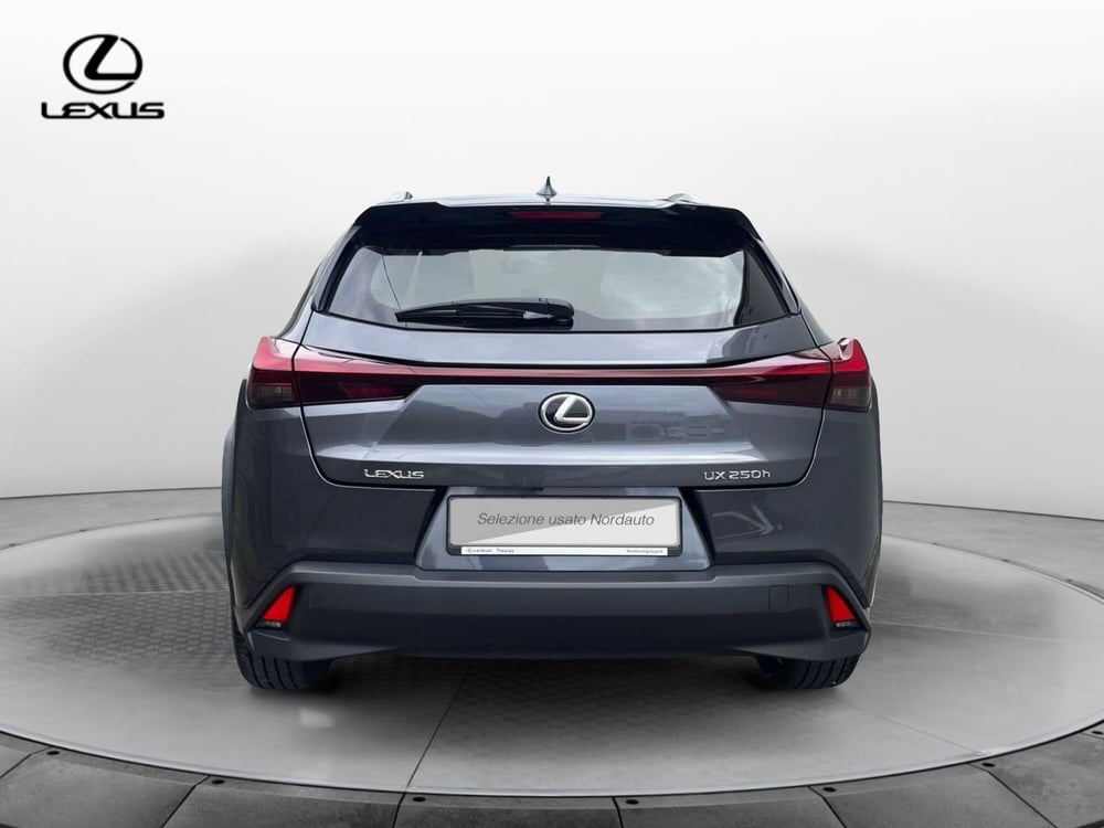 Lexus UX usata a Treviso (6)