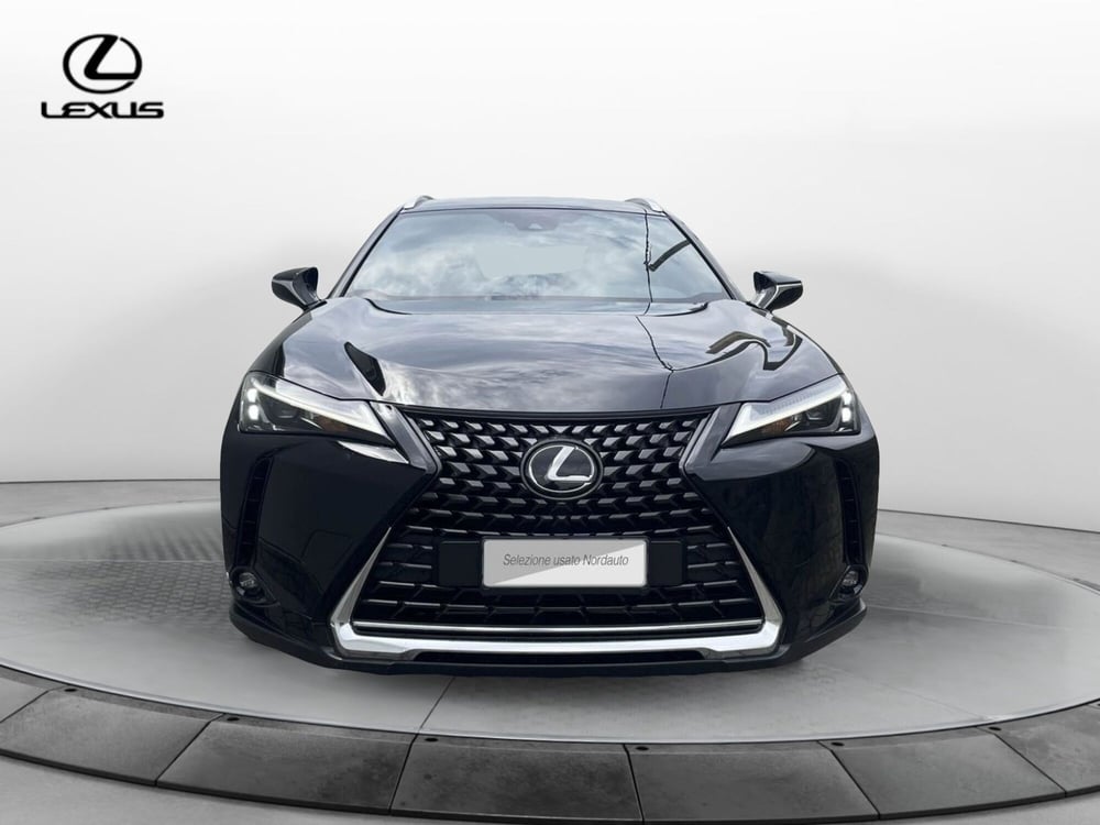 Lexus UX usata a Treviso (2)